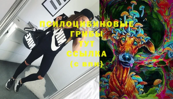 прущая мука Гусиноозёрск