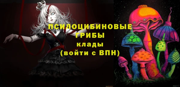 mdpv Дмитров