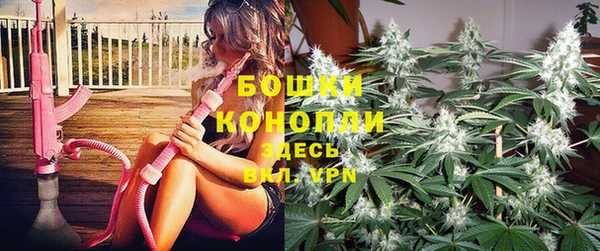 мдма Дмитриев